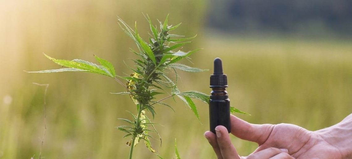 Why Are Eco-Friendly Consumers Using CBD?