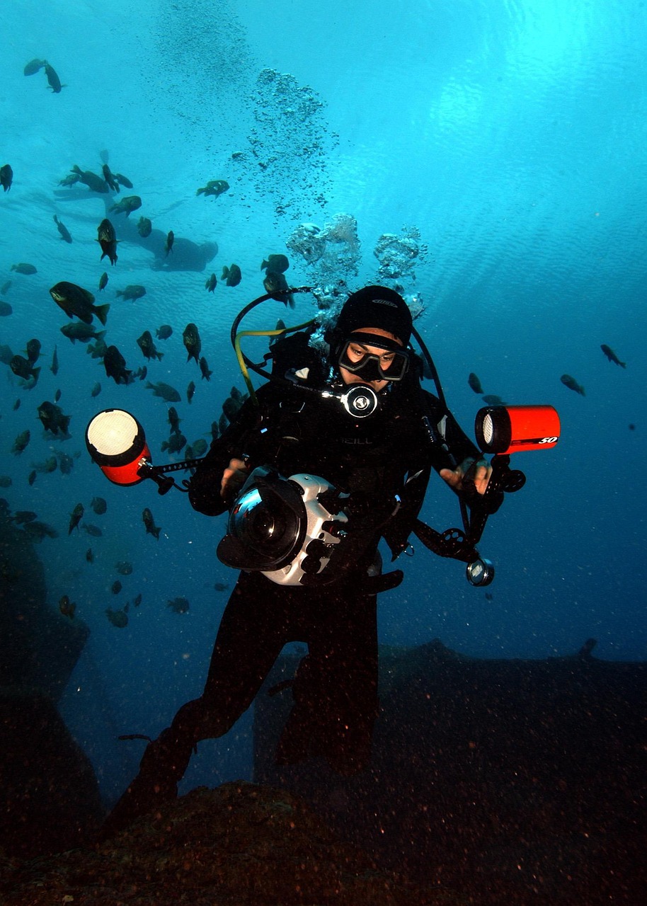 sea, ocean, water, diver, diving, swimming, underwater, fish, lights, camera, panama city, florida, nature, blue fish, blue camera, blue fishing, diver, diver, diver, diver, diver, diving, diving, fish, panama city