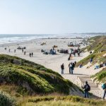 An illustrated view of Ocean Beach showcasing thriving restored dune systems and native vegetation, with community members and scientists collaborating on coastal protection efforts.