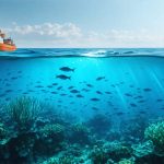 Serene ocean scene depicting a diverse marine ecosystem with a fishing vessel marked with the MSC blue fish label, illustrating the harmony between sustainable fishing and ocean conservation.