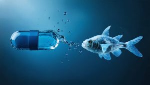 A male enhancement pill dissolving into water, transforming into an outline of a fish with altered features, illustrating the pill's harmful impact on marine life and ecosystems.