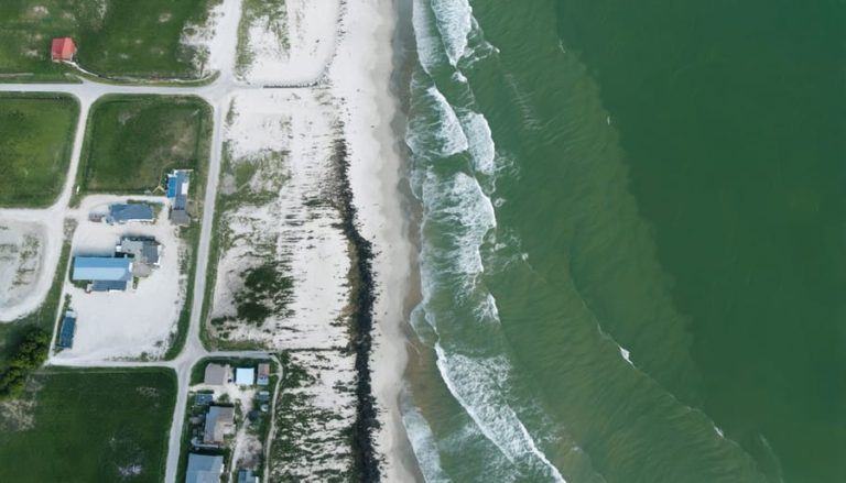 Coastal Infrastructure's Hidden Impact on Beach Erosion and Marine Life ...