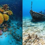 A side-by-side comparison showing a healthy coral reef ecosystem bustling with marine life next to a barren seafloor devastated by bottom trawling, highlighting the severe impact of destructive fishing practices.