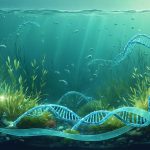 Conceptual illustration of marine plant genes showing a network of DNA strands intertwined with images of seagrass and kelp, highlighting genetic pathways for adaptation and survival in changing ocean environments.