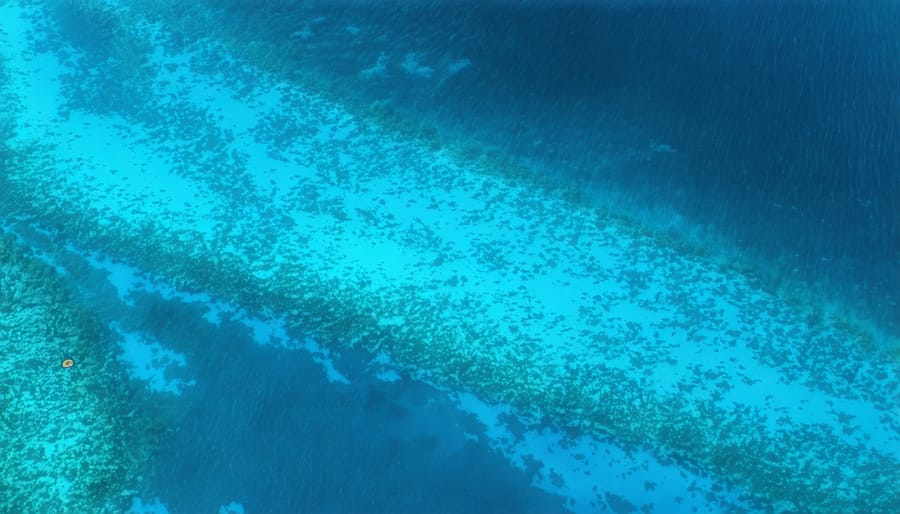 Bird's eye view of a Marine Protected Area showing conservation zones and boundaries