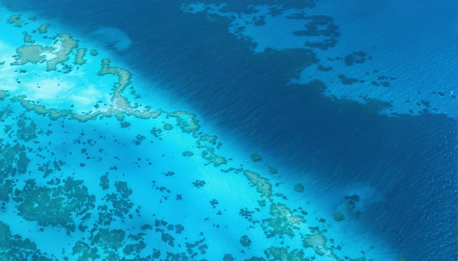 Aerial view of a marine conservation zone boundary showing contrast between protected and unprotected waters