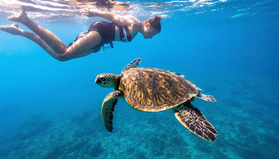Sea turtle attempting to escape from a group of snorkeling tourists