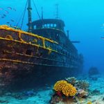 Underwater scene showing an ancient shipwreck with colorful coral growth serving as a habitat for tropical fish, alongside an archaeologist using sonar equipment, embodying the intersection of marine archaeology and ecological preservation.