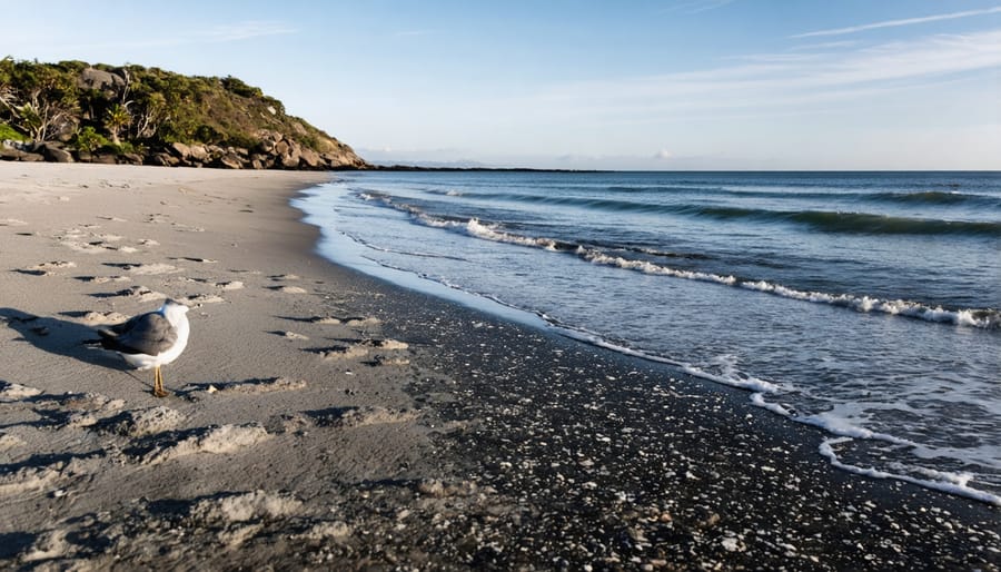 Volunteers conducting coastal survey and data collection at beach shoreline