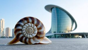 How Ocean Life Shapes Modern Architecture's Most Beautiful Buildings ...