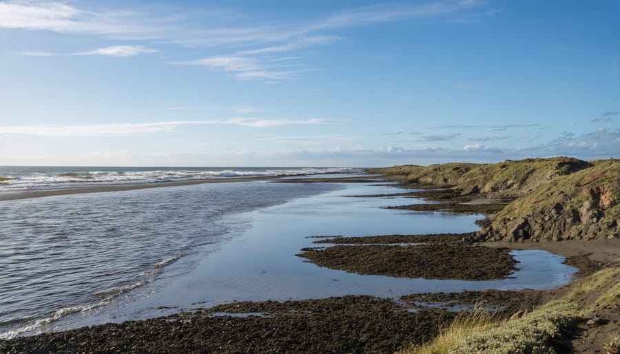 Community stakeholders and scientists collaborating on coastal management planning