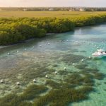 Aerial oblique view of mangroves and clear shallows with visible seagrass, an arc of unlabeled white buoys marking a protected area, and a small patrol boat cruising the boundary in warm golden light; distant salt marsh and low buildings softly out of focus.