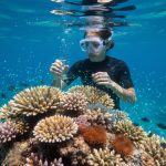 Underwater view of a coral reef with a diver and subtle teal glowing nanoscale particles near the corals, evoking quantum nanotechnology for reef restoration.