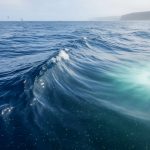 Wide ocean view with a visible current and lighter upwelling region, showing drifting plankton in sunlit, blue water with distant birds and a hazy shoreline.