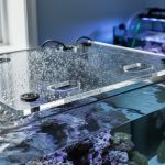 Custom clear aquarium lid with precise cutouts fitted over a marine tank, showing saltwater droplets and reef-style interior lighting.