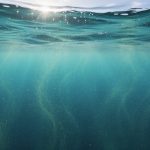Wide view of ocean water showing sunlit surface, lighter mid-water, and darker deep water layers with subtle drifting particles indicating different marine climate conditions.