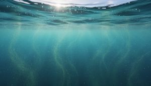 Wide view of ocean water showing sunlit surface, lighter mid-water, and darker deep water layers with subtle drifting particles indicating different marine climate conditions.