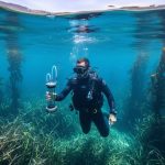 A marine conservation researcher sampling seawater near healthy kelp and seagrass in a blue ocean environment.
