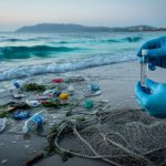 A marine scientist collecting a small plastic sample vial on a shoreline with floating plastic debris in the ocean during twilight.