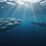 A wide view of the open ocean’s water column with sunlit light rays above, darker deep water below, and a distant whale and schooling fish swimming through the pelagic layers.