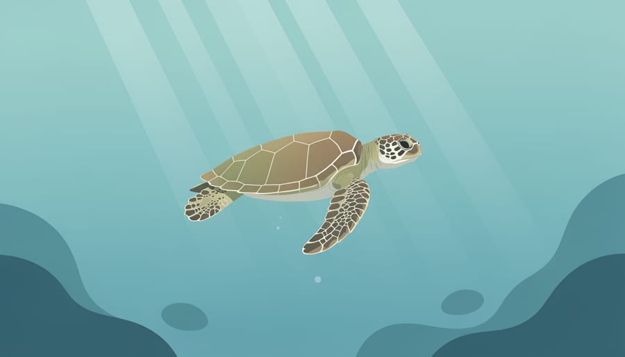A sea turtle swims through sunlit ocean water, creating a glowing rim effect in warm golden light.