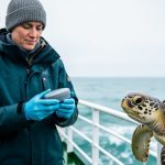 A marine biologist holding a satellite animal tag next to a sea turtle on a research vessel deck with the ocean horizon in the background.